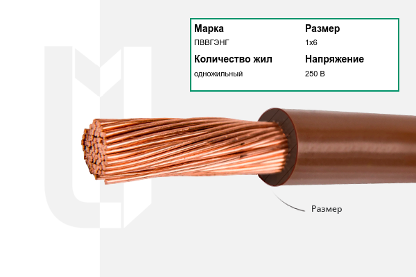 Силовой кабель ПВВГЭНГ 1х6 мм